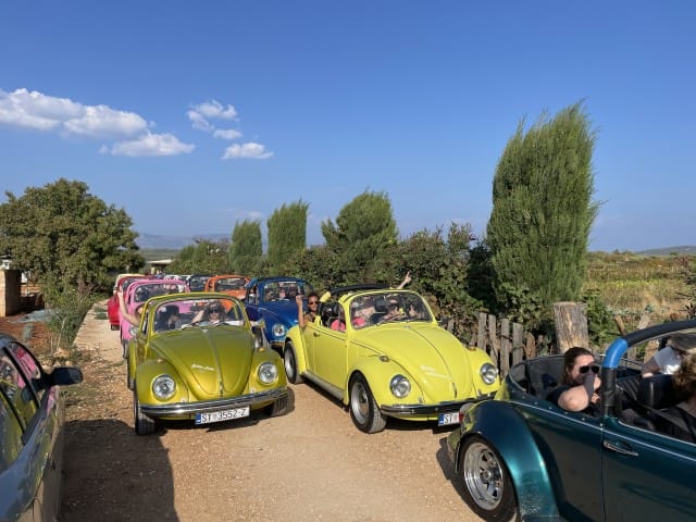 Incentivereis Kroatië