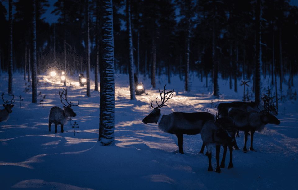 Actieve once in a lifetime beleving Incentive Lapland