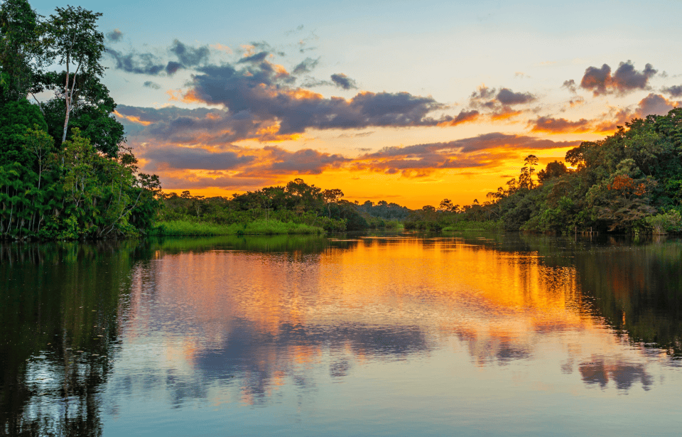 Een magische reis naar de roots van hun Surinaamse leerlingen