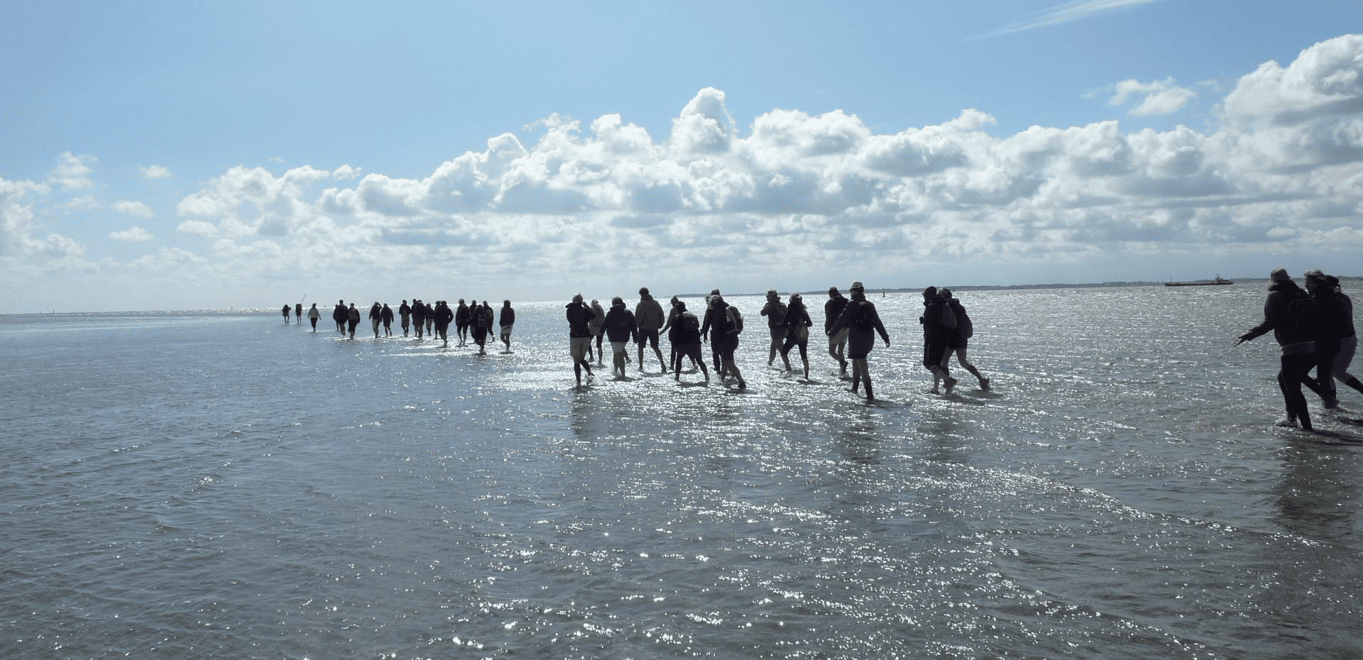 Incentive in eigen land