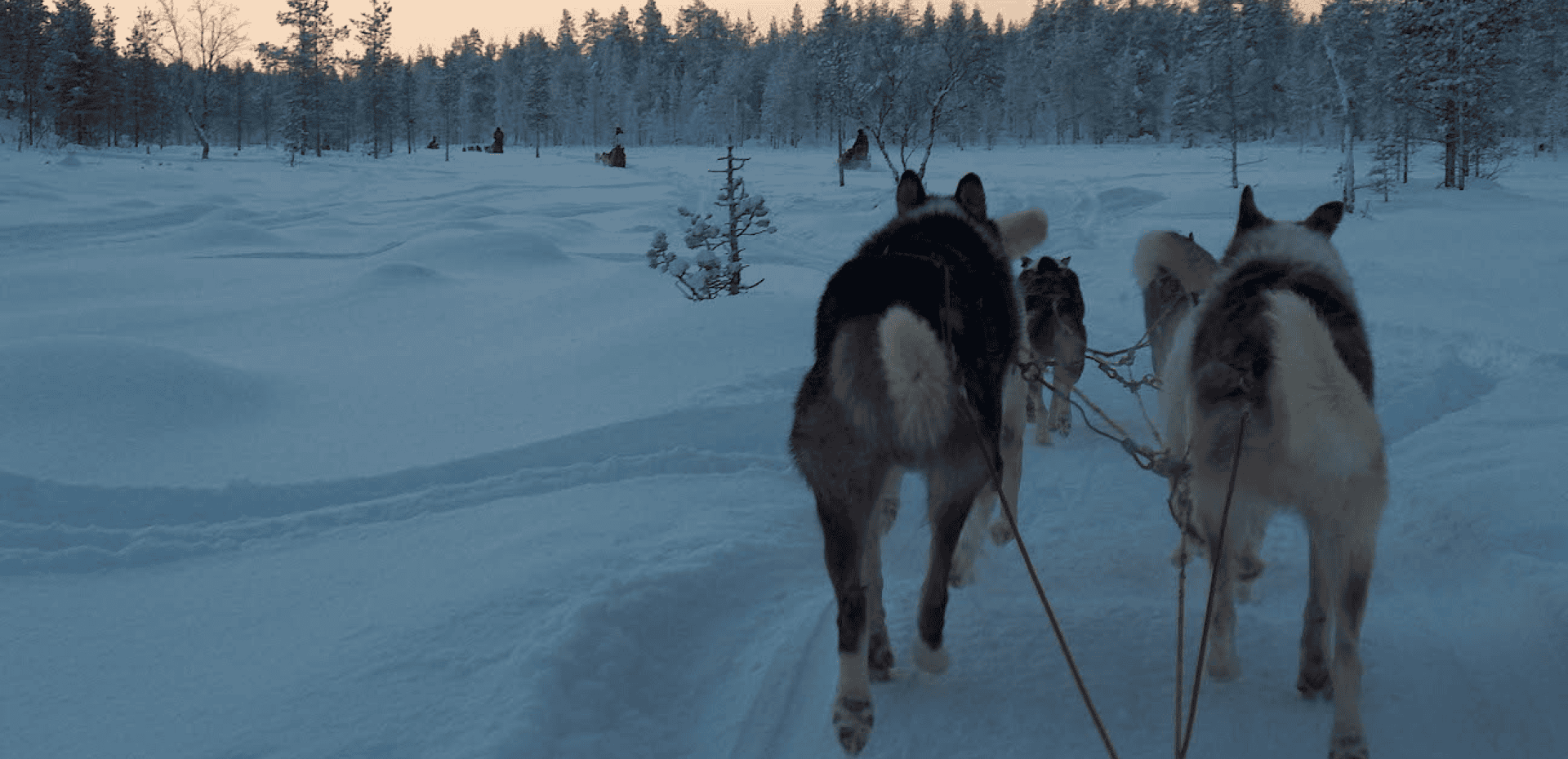 GoLapland wordt officieel partner visit Finland 