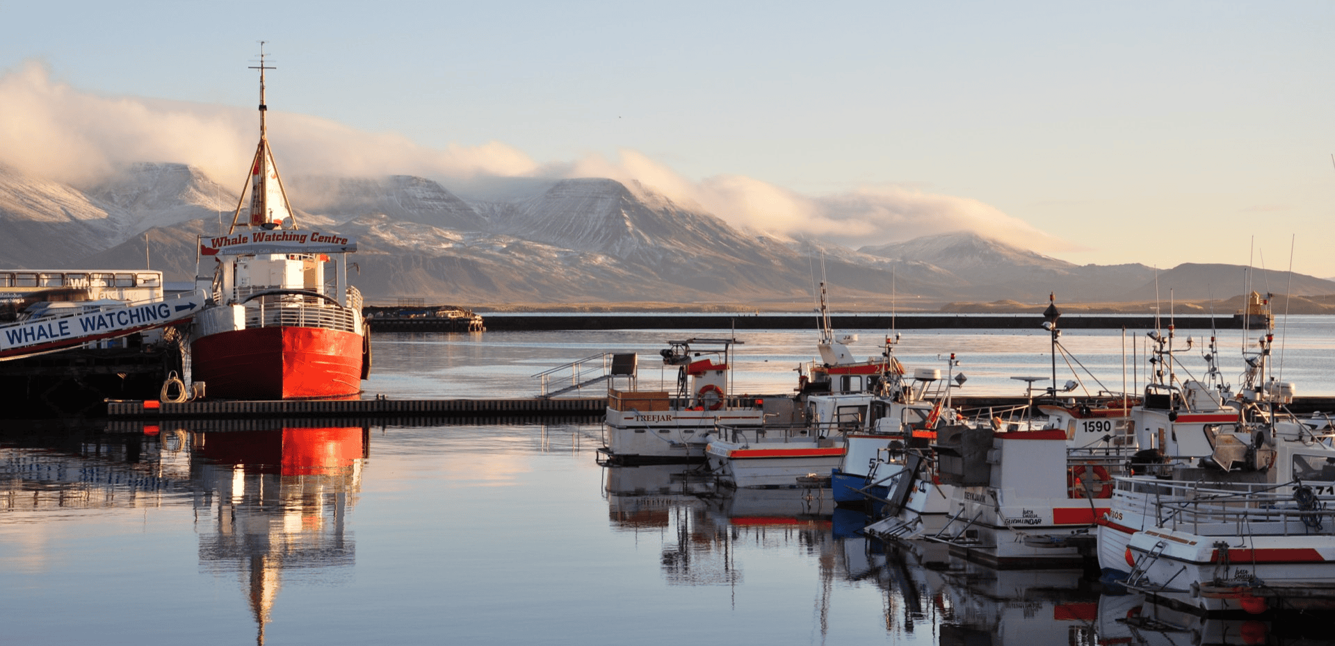 IJsland incentive specialist 
