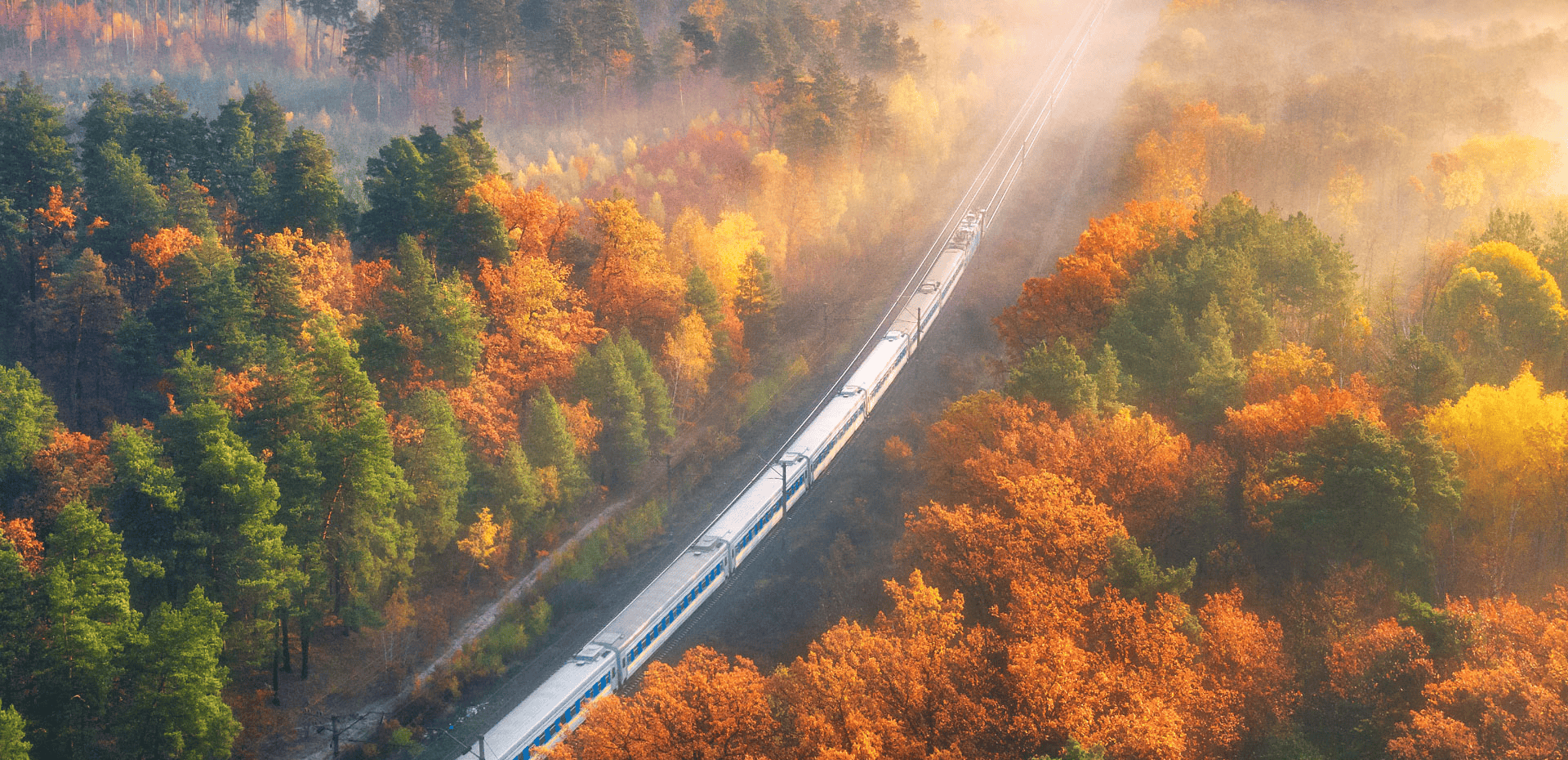 Vliegensvlug met de trein. 